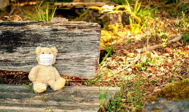 Teddybär mit Make im Herbst